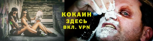 стаф Алексин