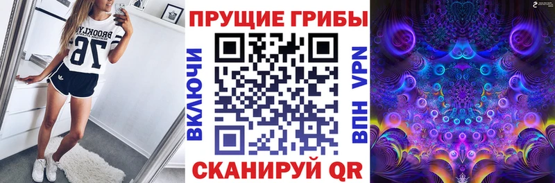 Псилоцибиновые грибы GOLDEN TEACHER  Кочубеевское 